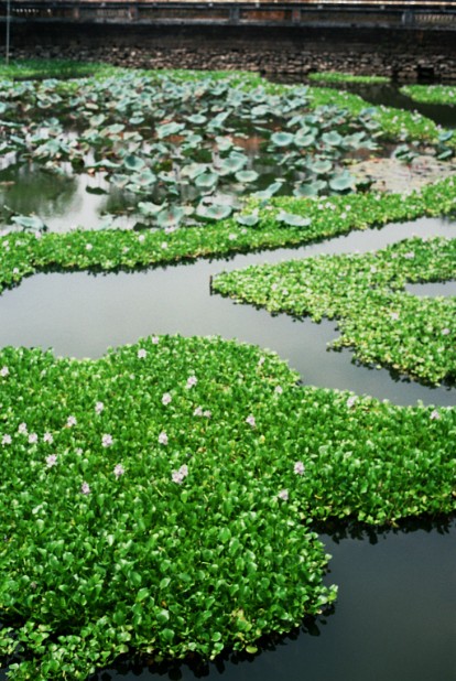 Vietnam_Hue_2008_Img0011KL