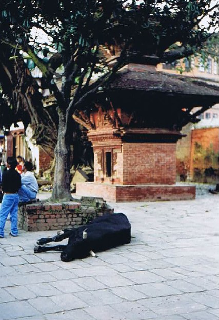 Nepal_Kathmandu_1999_Img0024
