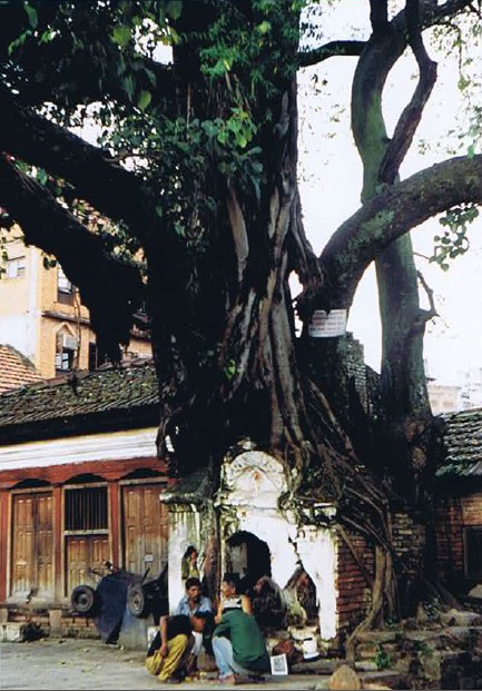 Nepal_Kathmandu_1999_Img0025