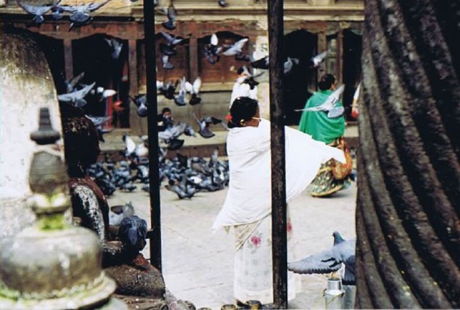 Pigeons waiting for food offerings to the Nepalese Gods...