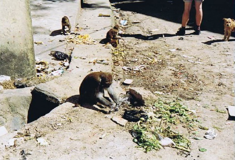 Nepal_Kathmandu_1999_Img0056