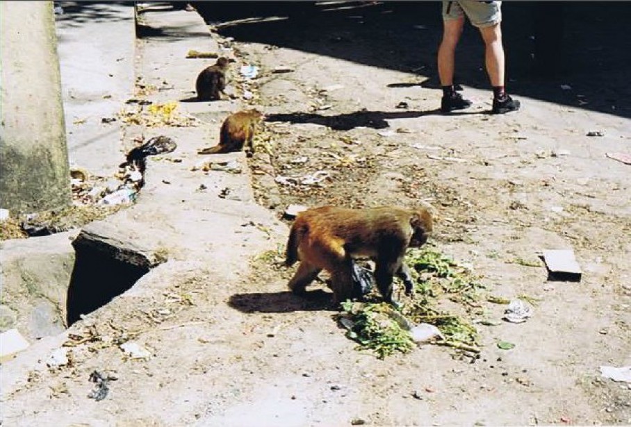 Nepal_Kathmandu_1999_Img0058