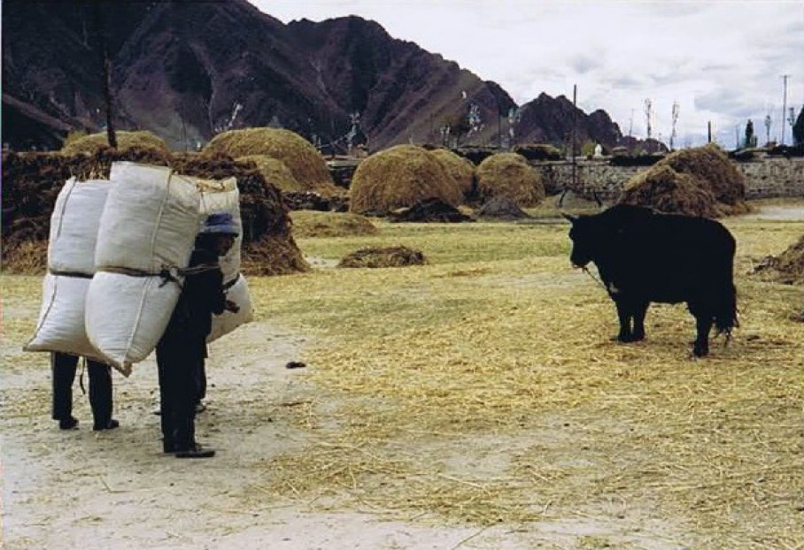Tibet_Ganden_1999_Img0045