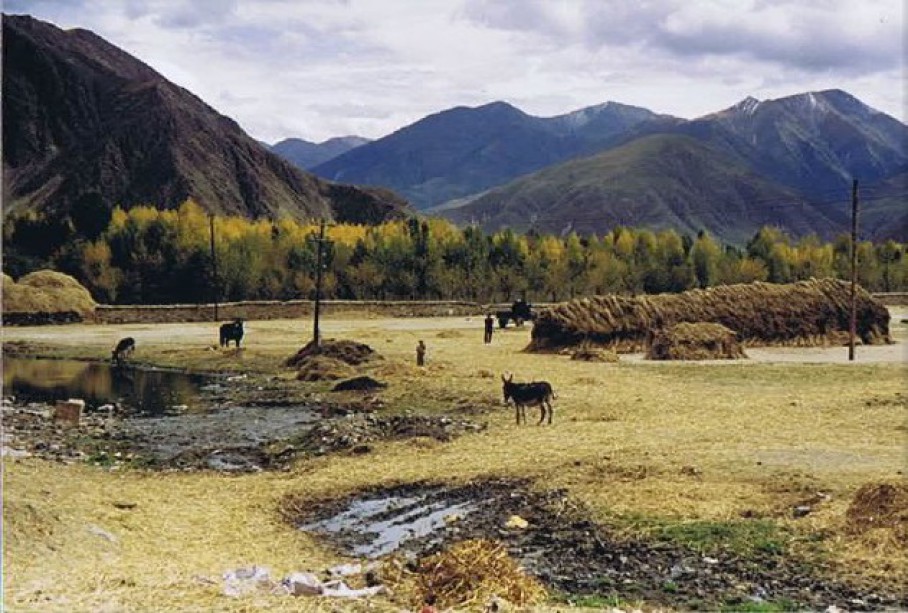 Tibet_Ganden_1999_Img0047