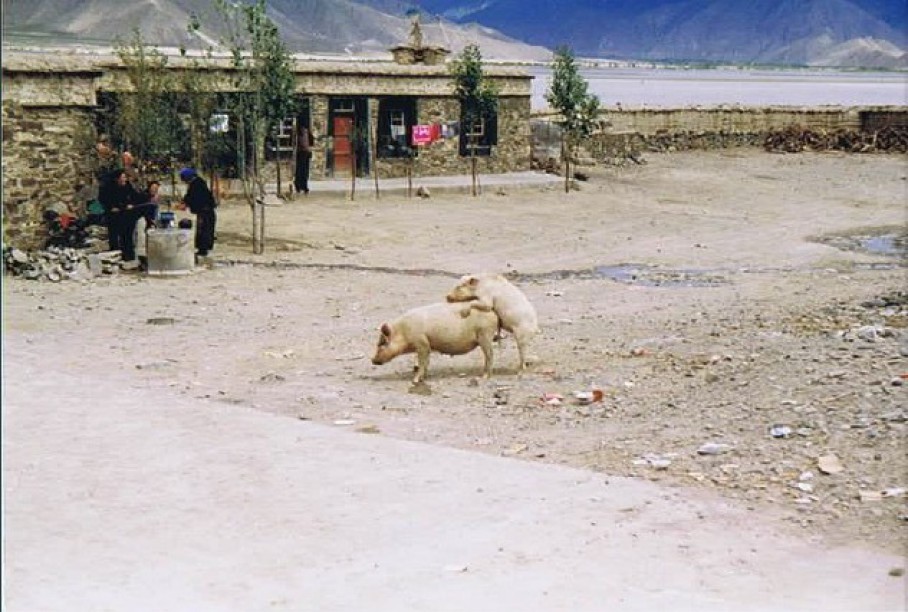 Tibet_Samye_1999_Img0009