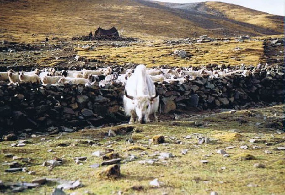 Tibet_Rongbuk_1999_Img0003