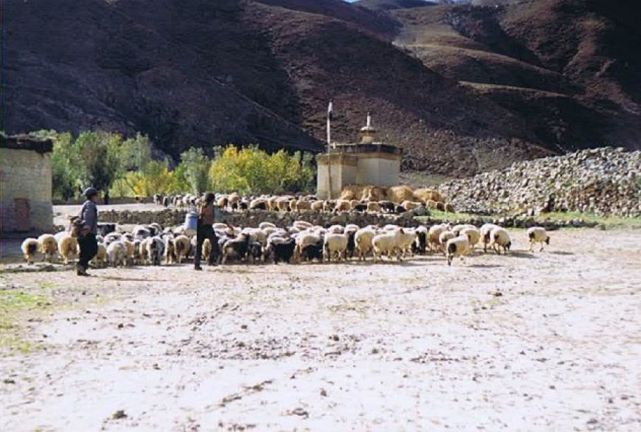 Tibet_Sakya_1999_Img0009