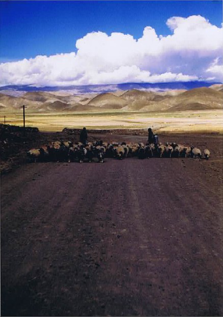 Tibet_Sakya_1999_Img0012