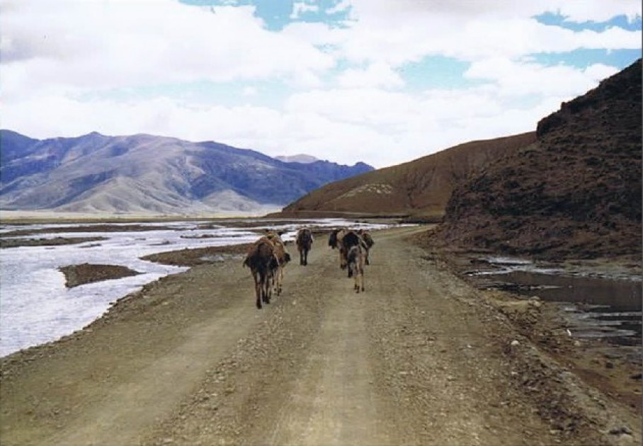 Tibet_Sakya_1999_Img0026