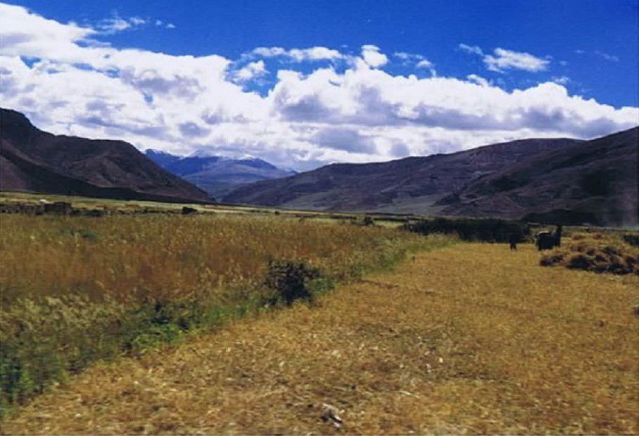 Tibet_Sakya_1999_Img0027