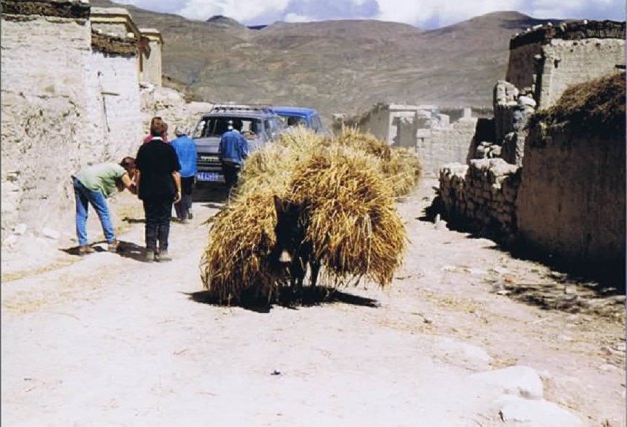 Tibet_Sakya_1999_Img0031