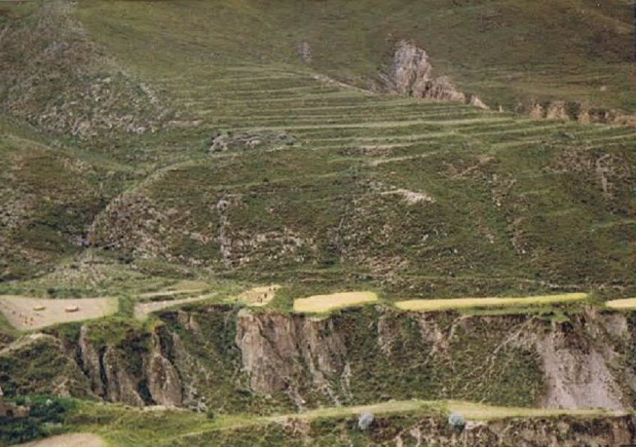 Tibet_Yamdrok_1999_Img0002