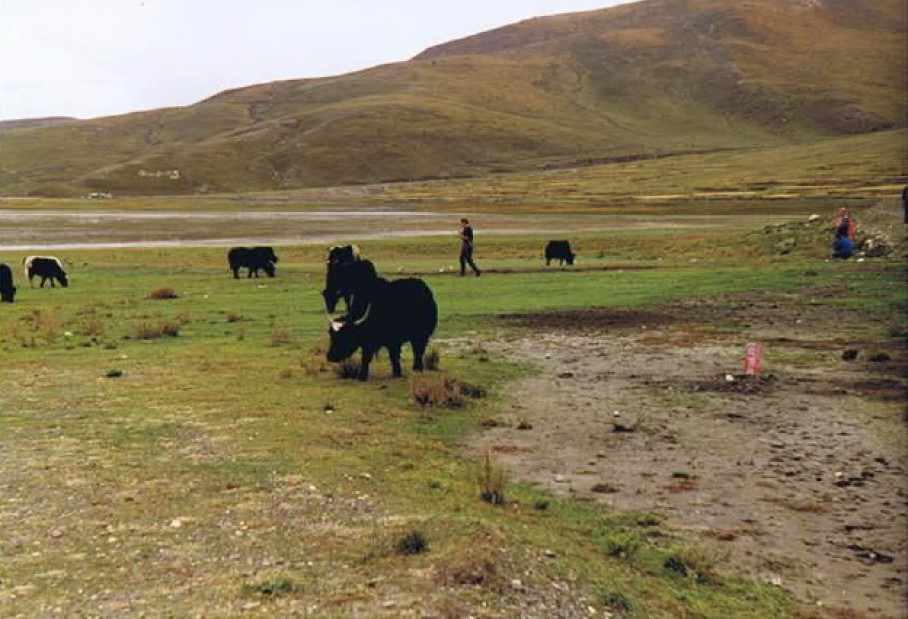 Tibet_Yamdrok_1999_Img0021