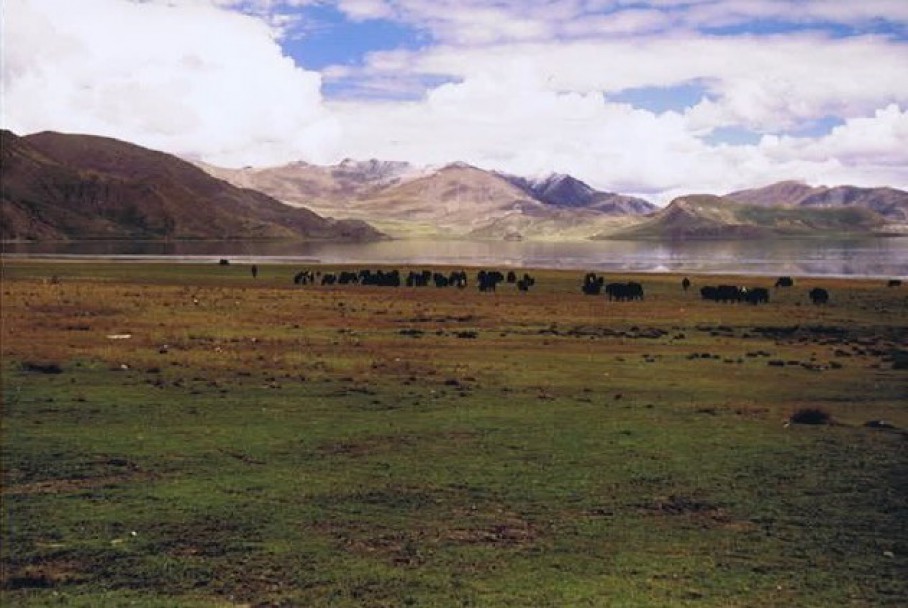 Tibet_Yamdrok_1999_Img0023