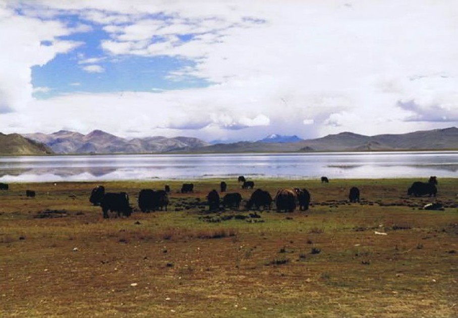 Tibet_Yamdrok_1999_Img0024