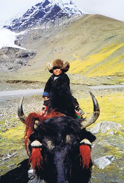 Tibet_Yamdrok_1999_Img0029