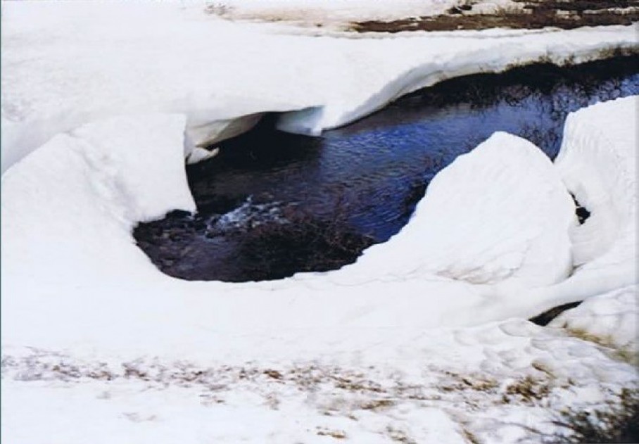 Zweden_Kungsleden2_1993_Img0001