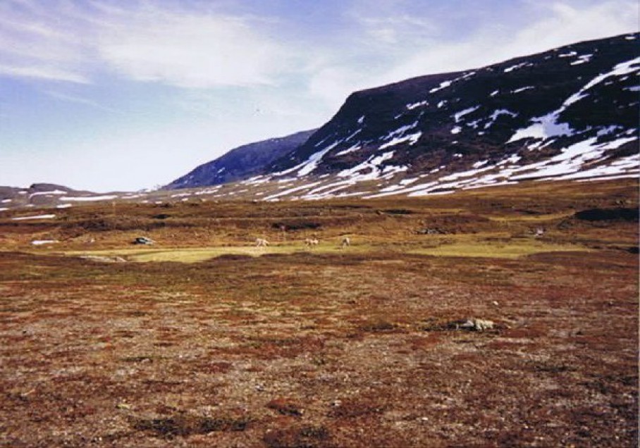 Zweden_Kungsleden2_1993_Img0002