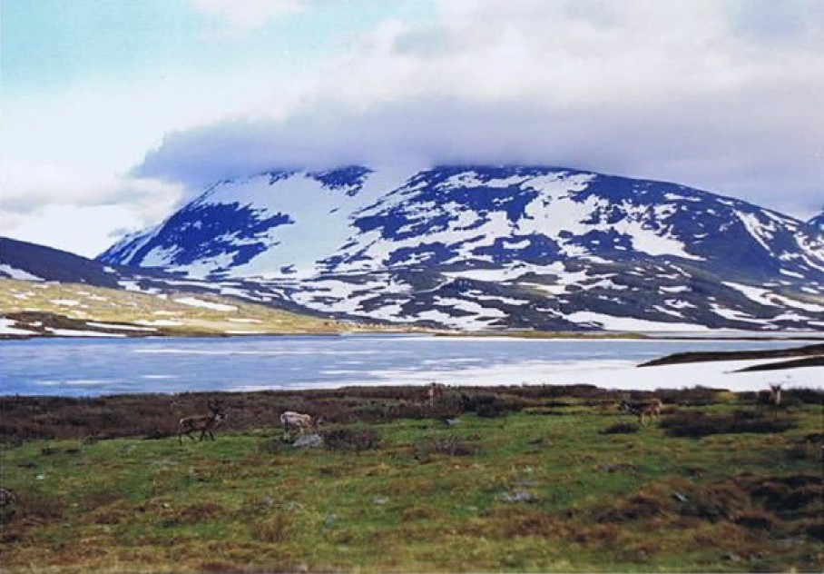 Zweden_Kungsleden2_1993_Img0006