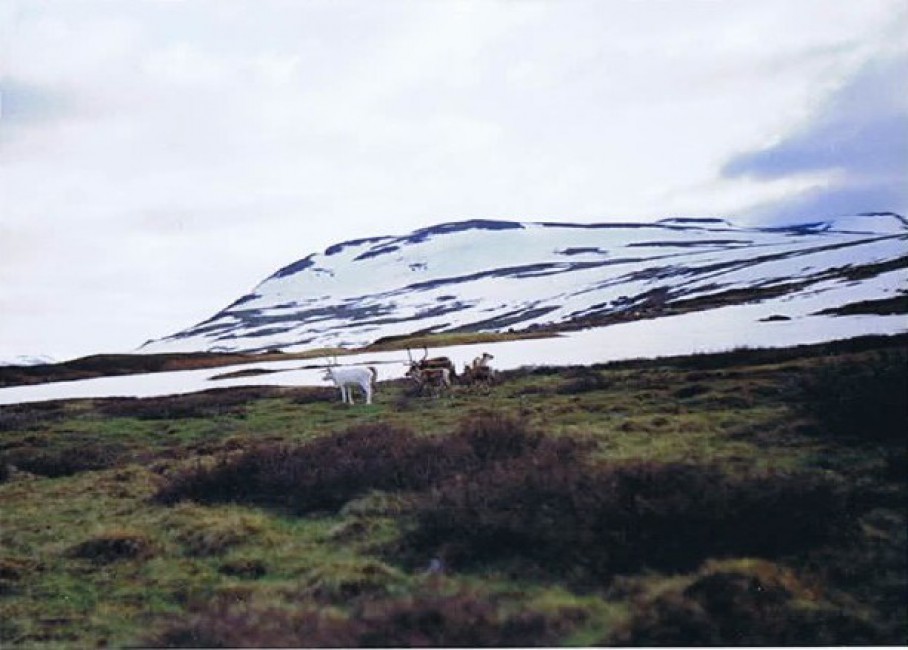 Zweden_Kungsleden2_1993_Img0007