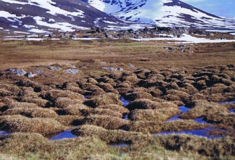 Zweden_Kungsleden3_1993_Img0003