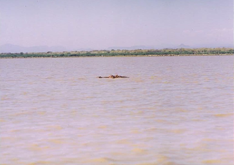 Kenia_Baringo_2002_Img0135