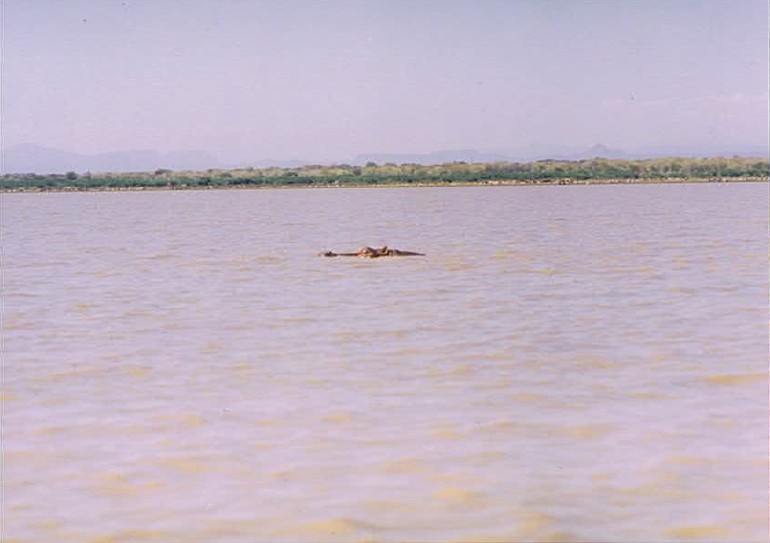 Kenia_Baringo_2002_Img0135