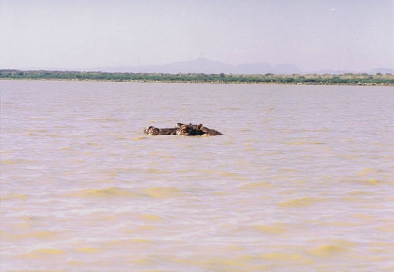 Kenia_Baringo_2002_Img0137