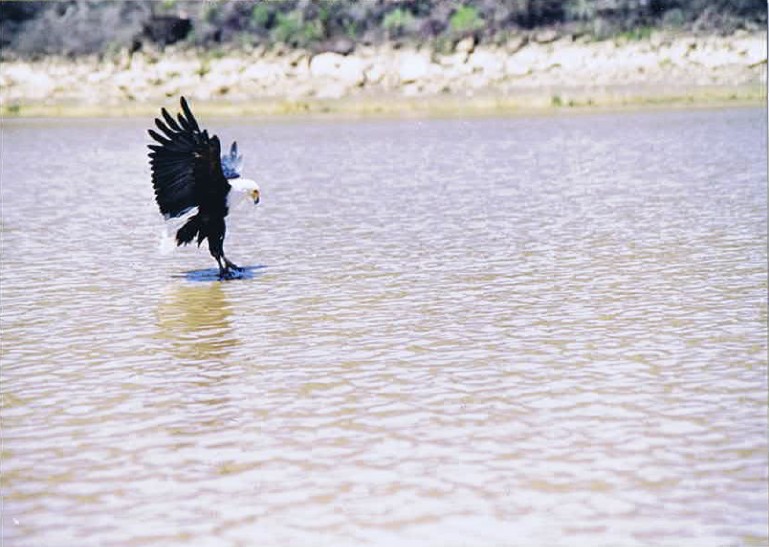 Kenia_Baringo_2002_Img0147