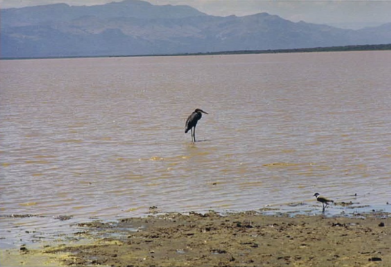 Kenia_Baringo_2002_Img0154