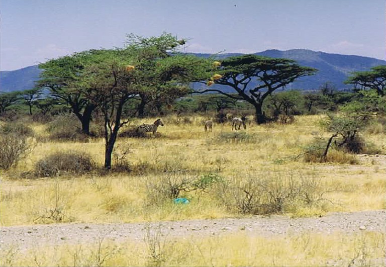 Kenia_Noorden_2002_Img0027