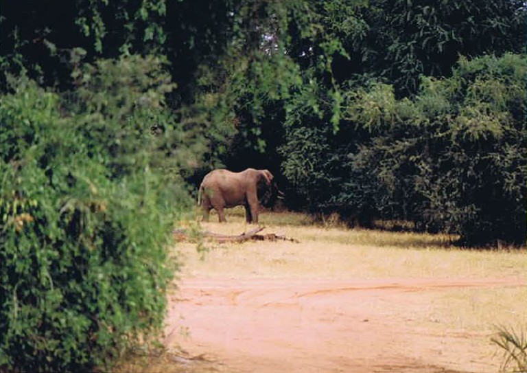 Kenia_Noorden_2002_Img0044