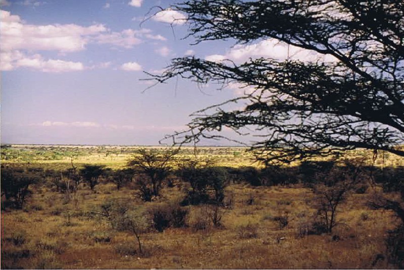 Kenia_Noorden_2002_Img0057