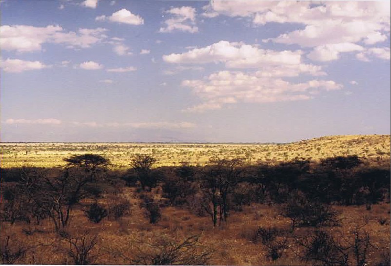 Kenia_Noorden_2002_Img0058