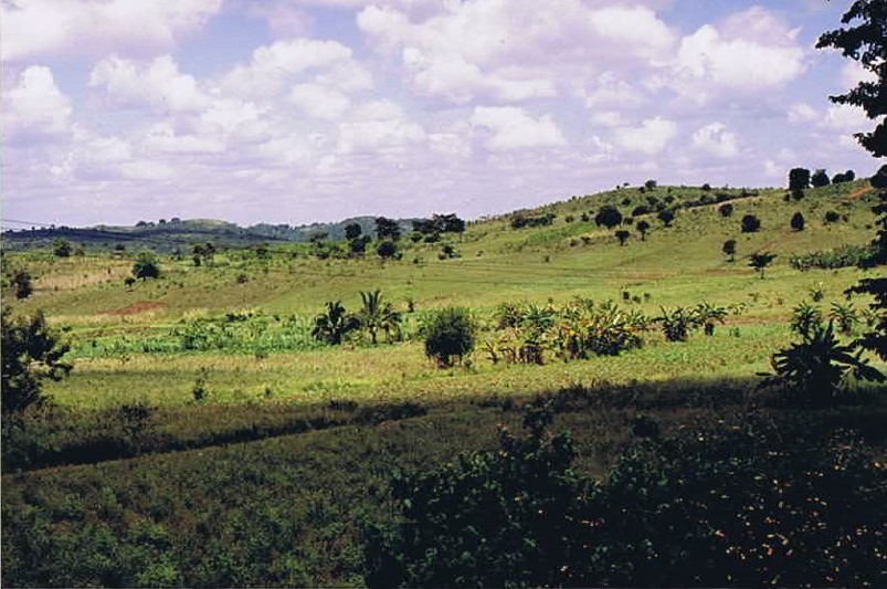 Tanzania_Coast_2002_Img0269