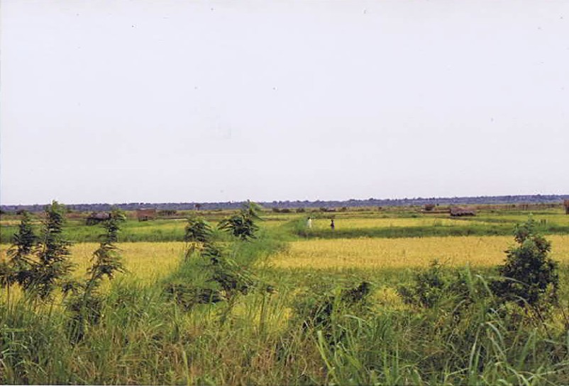 Tanzania_Coast_2002_Img0274