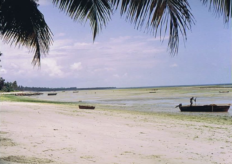 Tanzania_Coast_2002_Img0276