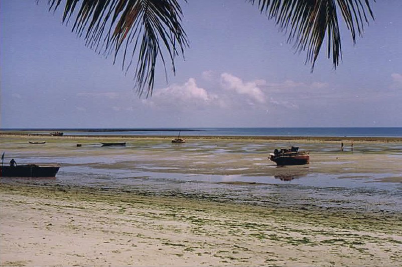 Tanzania_Coast_2002_Img0277