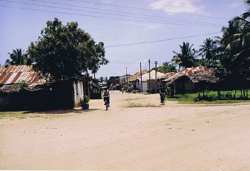 Tanzania_Coast_2002_Img0278