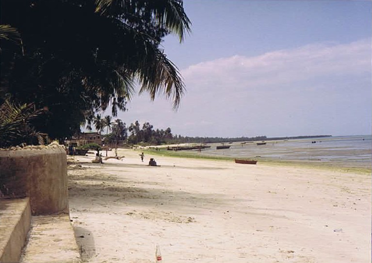 Tanzania_Coast_2002_Img0287