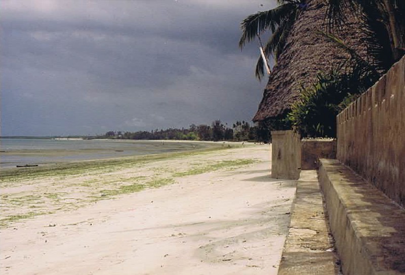Tanzania_Coast_2002_Img0289
