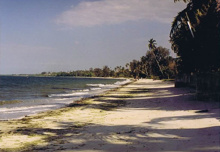 Tanzania_Coast_2002_Img0290