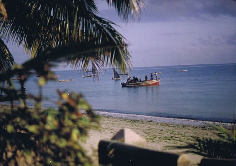 Tanzania_Coast_2002_Img0291