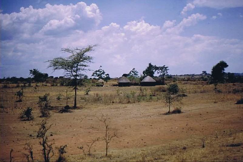 Tanzania_Mara_2002_Img0001