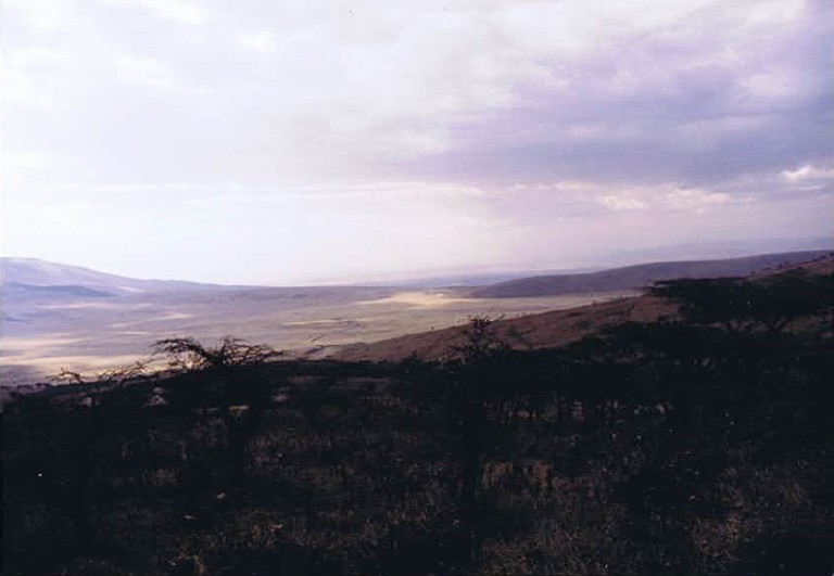 Tanzania_NgorongoreCA_2002_Img0156