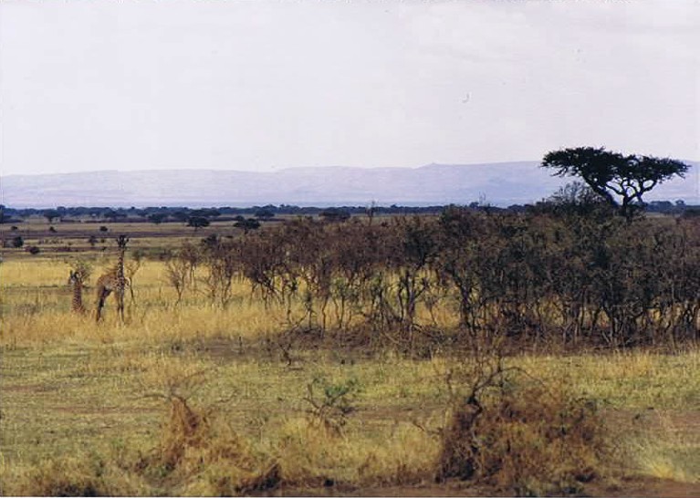 Tanzania_SerengetiNP_2002_Img0020