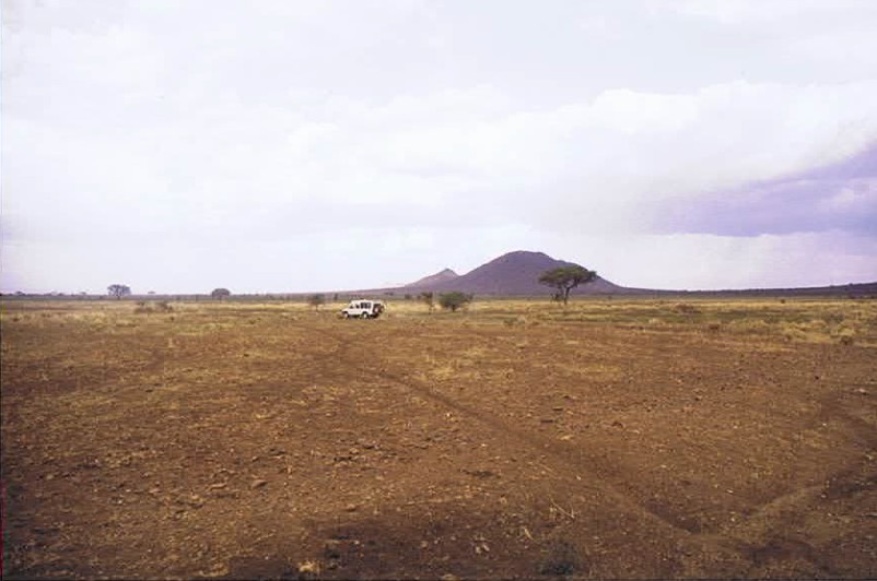 Tanzania_SerengetiNP_2002_Img0029