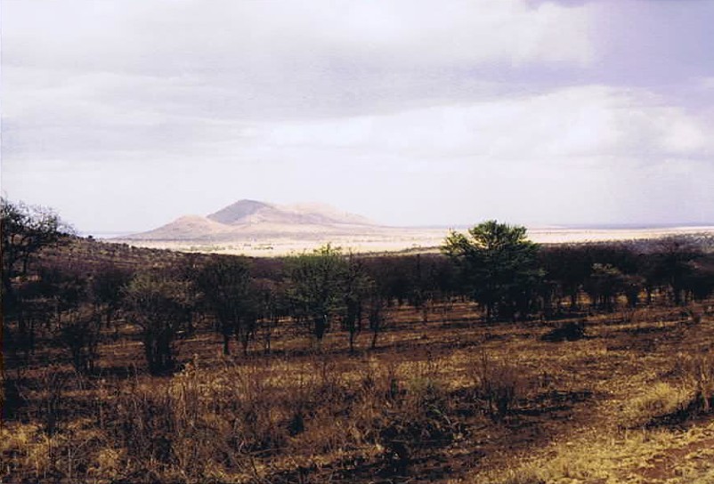 Tanzania_SerengetiNP_2002_Img0031