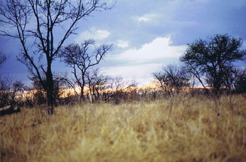 Tanzania_SerengetiNP_2002_Img0041