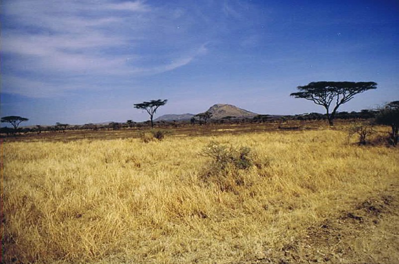 Tanzania_SerengetiNP_2002_Img0070